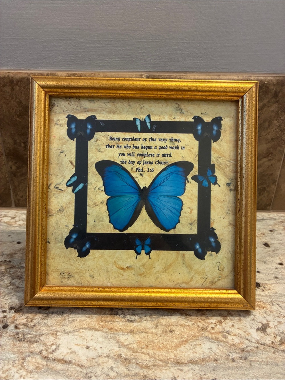 Gold Framed Blue Butterfly Wall Art w/Scripture Phil 1:6
